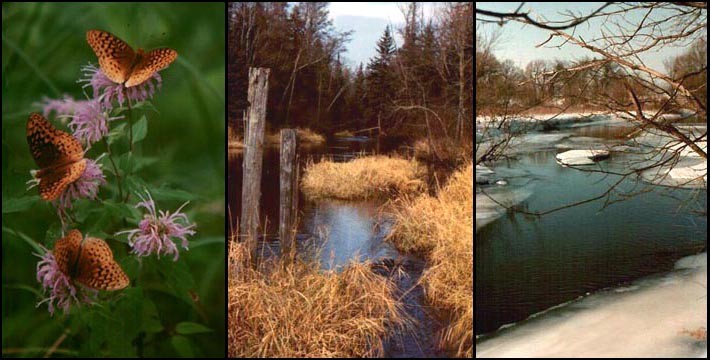 Tomorrow River, Different Views